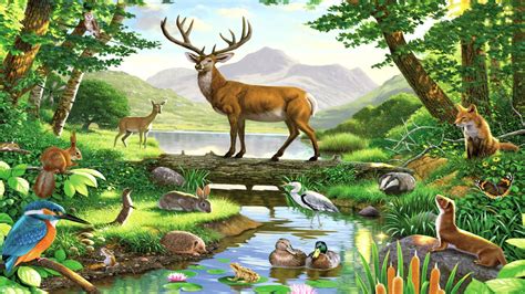 Forest Animals Drawing At Getdrawings Free Download