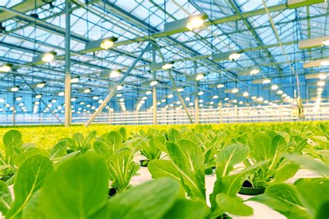 Indoor Farming And Other Innovative Solutions With Industrial Real Estate