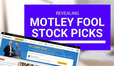 Motley Fool Stock Picks Revealed Updated November