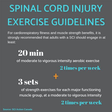 Adaptive Sports Spinal Cord Injury Exercise Guidelines Sci Action