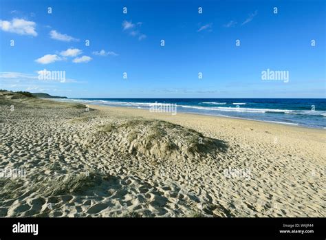 Scenic View Of Sunrise Beach Noosa Sunshine Coast Queensland Qld