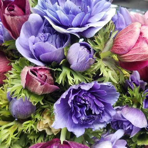 The flowers usually dry brilliant and clear silica gel absorbs moisture from the flower, and as it does, the blue dots in the mixture turn pink. The anemones just keep on coming! We love these charming ...