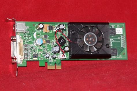 Pci Express X16 Graphics Card Asus Neon Nvidia Geforce 8400 Gs 256mb