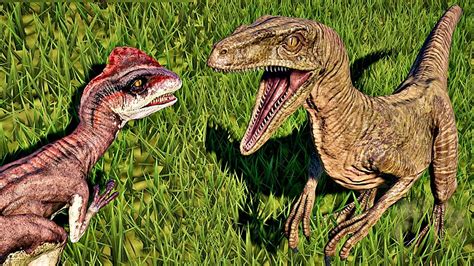 Velociraptor Vs Deinonychus Jurassic World Evolution Raptor