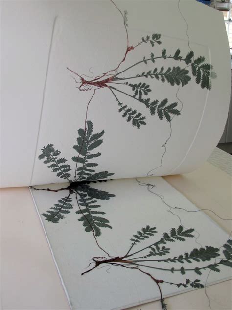 Lynn Bailey Monoprint Printmaking Nature Prints