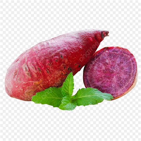 Viet Nam Purple Sweet Potato Health Little Purple Sweet Potato Fresh