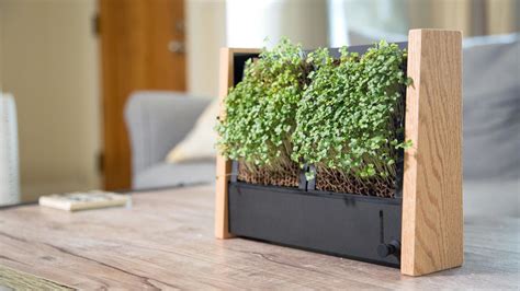 Grow Micro Vegetables Indoors With This Cool Vertical Garden Vertical