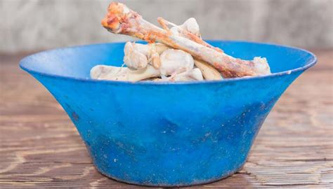 Cooked Bones For Dogs May Not Be A Good Idea And Why So