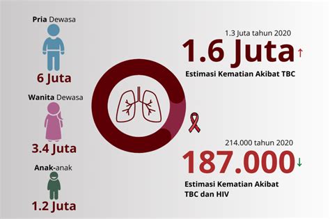 Laporan Kasus Tuberkulosis Tbc Global Dan Indonesia 2022 Yayasan Kncv Indonesia