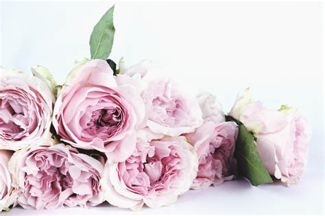 8 Unique Flowers Your Girlfriend Will Love