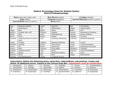 Module Medical Terminology Sheet For Skeletal System Medical