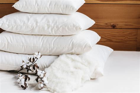 Certified Organic Wool Bed Pillows Holy Lamb Organics