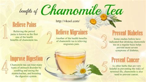 Only use black tea if you are going to dilute it. 12 Health Benefits Of Chamomile Tea For Hair, Skin & Whole ...