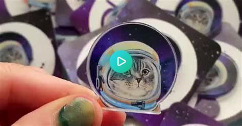 Space Cat Pins Album On Imgur