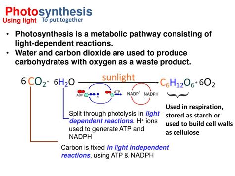This uses hydrogen as the fuel and the waste product is just water. PPT - Photosynthesis PowerPoint Presentation, free ...