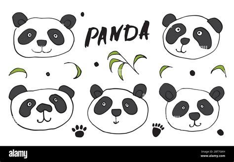 Cute Panda Bear Doodles Set Cute Animals Sketch Hand Drawn Cartoon