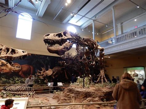 Carnegie Museum of Natural History, Pittsburgh | Carnegie museum, Natural history, Museum