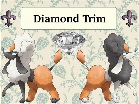 We did not find results for: Furfrou's Salon | Pokémon Amino