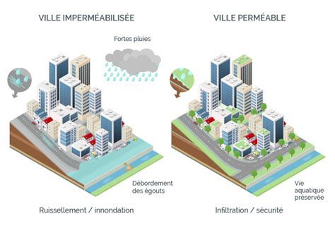 Solutions De Gestion Des Eaux Pluviables La Parcelles D Connexion Infiltration Mon