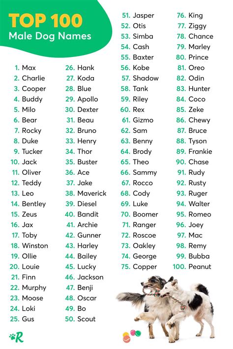 Top 100 Most Popular Dog Names In 2021 Artofit