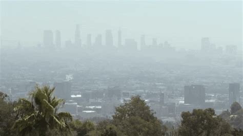 It causes firms to switch to cleaner technology. Air Pollution May Harm Your Sperm Count, Says Study