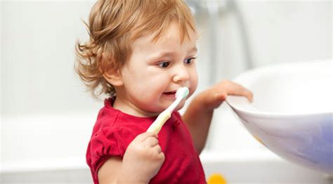 Auf alle fälle sollte es im verlauf des dritten. Wann Du Dein Kleinkind Zähne putzen lassen kannst - mibaby ...