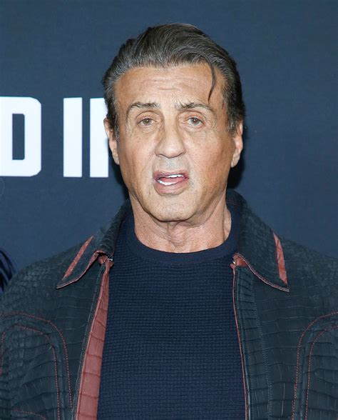 Sylvester Stallone Pictures Images And Photos Finder