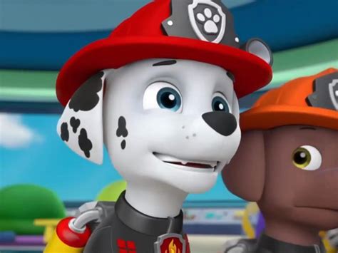 PAW Patrol On TV Series Channels And Schedules TV Co Uk