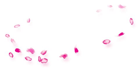 粉色立体漂浮花瓣设计模板素材
