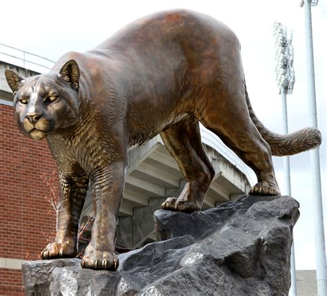 Washington State University 15 Cougar Mascot Monument Jwu Wildcats