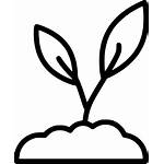 Sprout Clipart Planting Plant Svg Sprouting Transparent