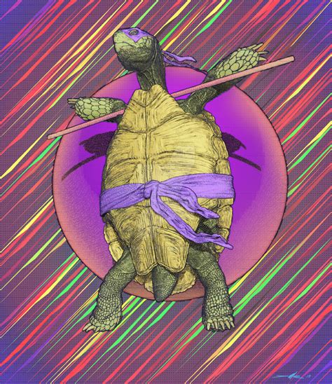 Real Ninja Turtle By Damir G Martin On Deviantart