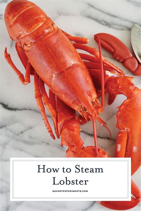 How To Humanely Kill A Live Lobster How To Steam Lobster Lobster