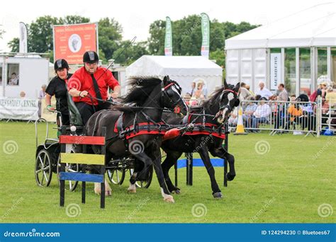 Driving Competition Horse Drawn Carriage Editorial Image Image Of