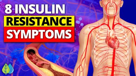 top 8 insulin resistance symptoms you need to know