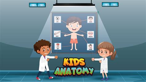 Kids Anatomy Game Educational Game Html5 Construct 3 By Naptechlabsuk