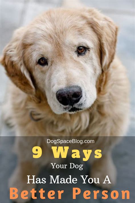 9 Ways Your Dog Has Made You A Better Person Cheap Pets Dog Insurance