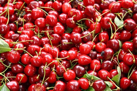 5 Reasons Why You Should Eat More Cherries Pampermy