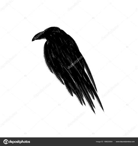 Black Raven Crow Silhouette Isolated White Background — Stock Vector