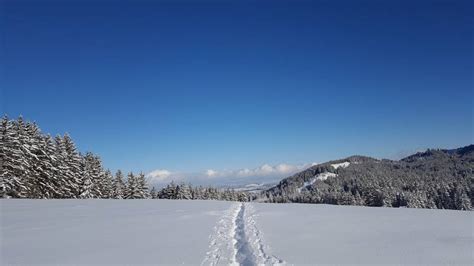 Das sind die besten wanderwege und touren zum wanderziel buronhütte. Winterwandern zur Buronhütte und Haslacher Alpe - Reisen ...