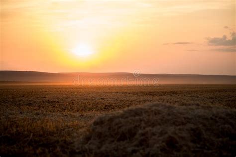 A Beautiful Golden Sunset On A Hay Field Stock Photo Image Of Field