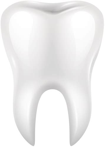White Tooth Png Clip Art Best Web Clipart