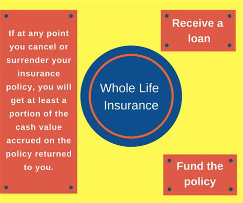 Let's talk about everything you need to know about permanent life insurance before you make your decision. Do Term Life Insurance Policies Have Cash Value - Thismuchistrue Karen