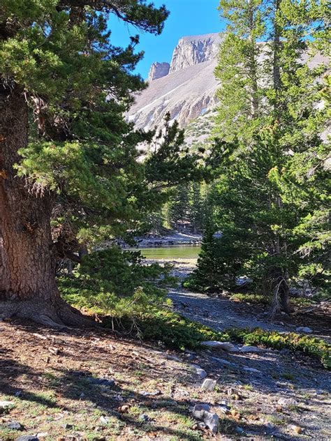 Baadsgaard Bylines Great Basin National Park Provides Beautiful Hikes