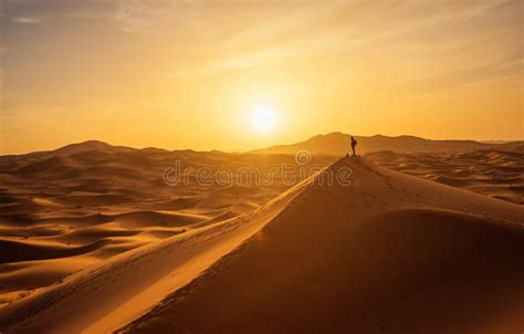 Lonely Man In Sahara Desert Stock Photo Image Of East Background