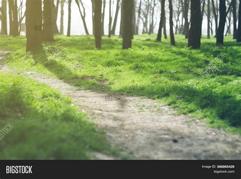 Path Running Among Image And Photo Free Trial Bigstock