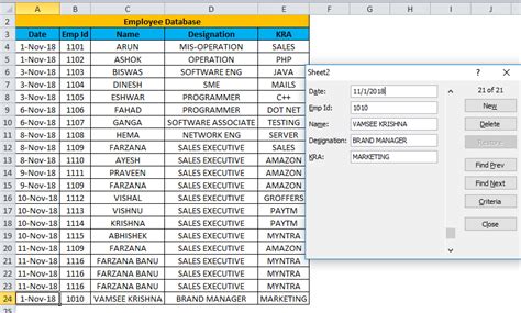 Excel Forms Examples How To Create Data Entry Form In Excel