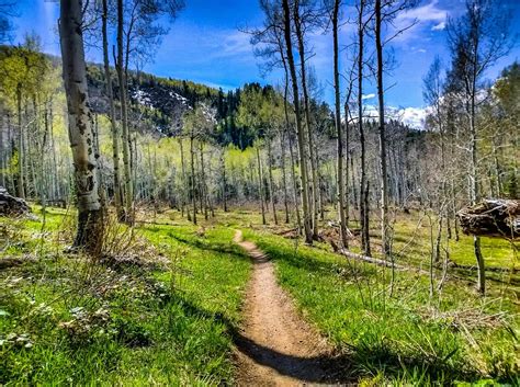 Spring Creek Trail Photo Singletrackscom