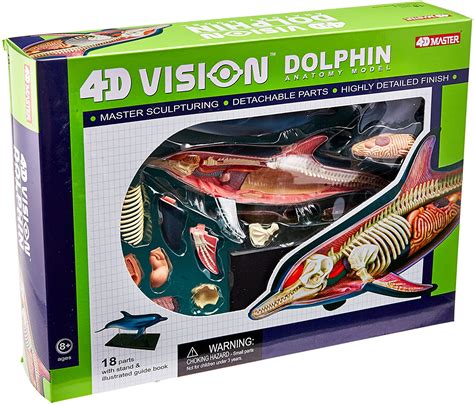 Famemaster 4d Vision Dolphin Anatomy Model Urban Touch Inc