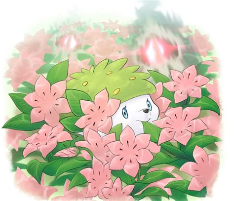 Shaymin Flowers Pokemon Rayquaza Cute Pokemon Pictures Pokemon Art